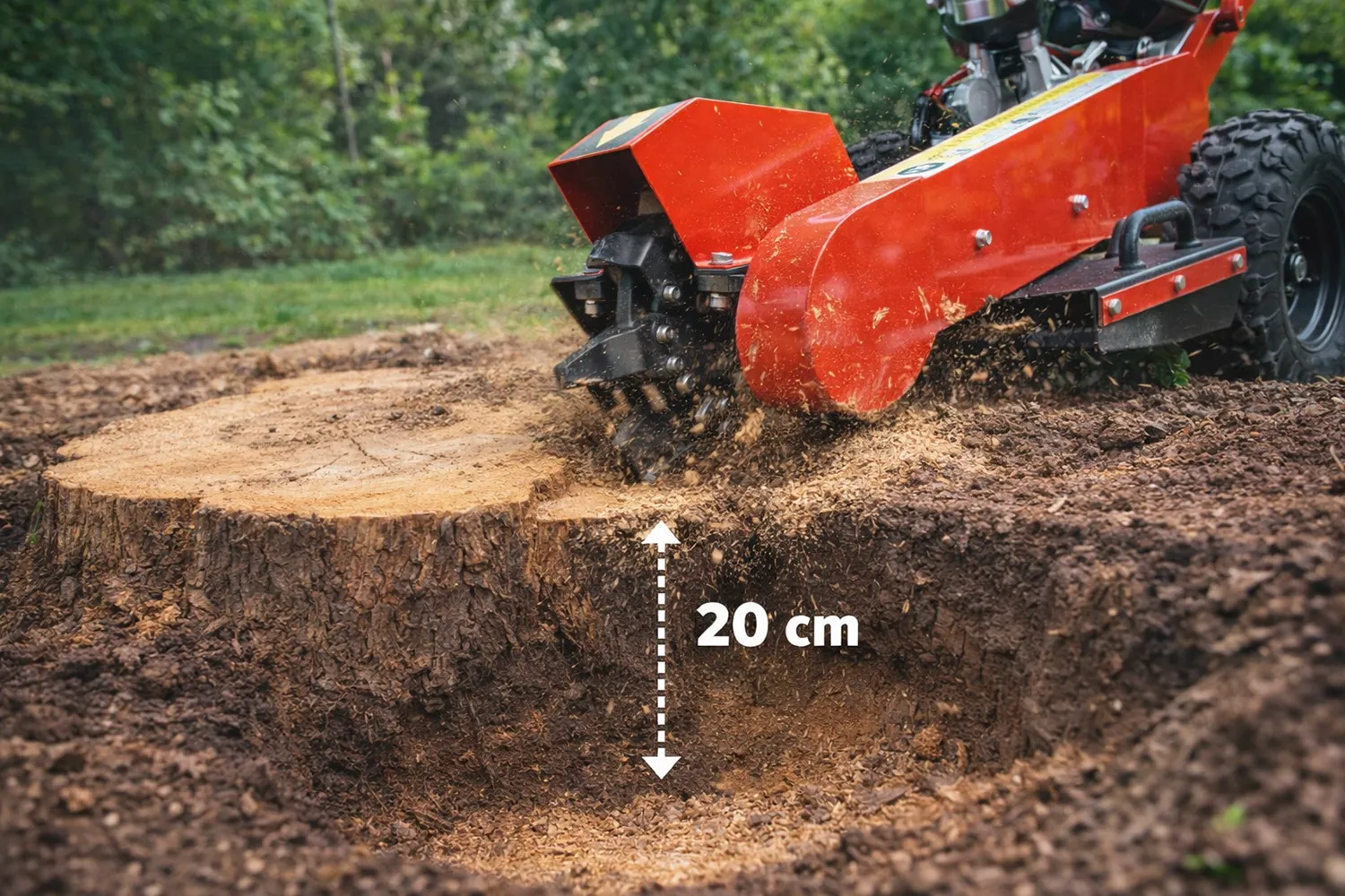 Frezowanie pni - przykład pnia około 20 cm