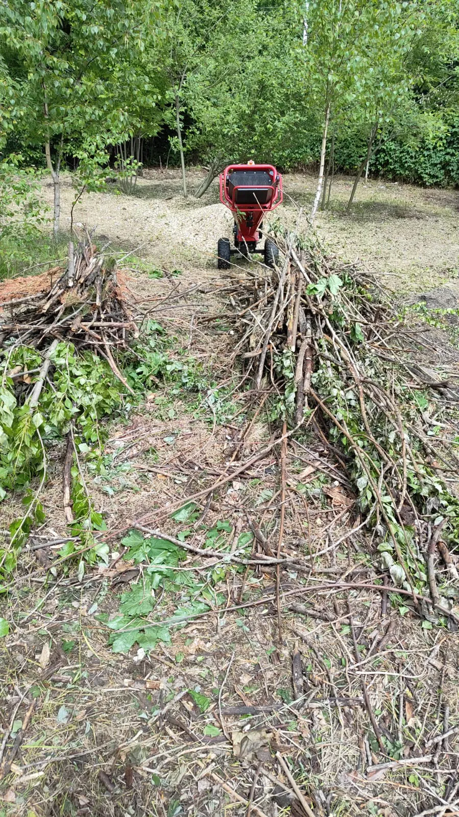 Zrębki po rozdrabnianiu gałęzi - efekt pracy rębakiem