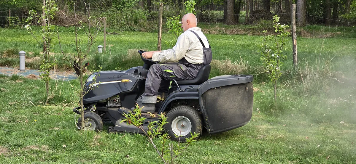 Oczyszczanie działki - przykład prac w terenie