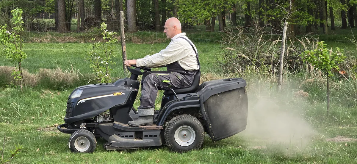 Oczyszczanie terenu - efekt po pracach